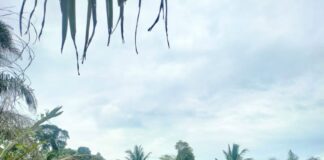 Perkara Pemalsuan Surat Tanah, Petani Miskin Minta Perlindungan Ke Kapolri Dan Gugat Penyidik Polda Sumut