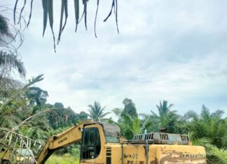 Perkara Pemalsuan Surat Tanah, Petani Miskin Minta Perlindungan Ke Kapolri Dan Gugat Penyidik Polda Sumut