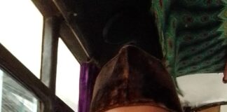 AMPLI larang Caleg merusak Pohon