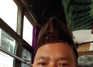 AMPLI larang Caleg merusak Pohon