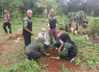 HIPAKAD Kota Depok Ikut Serta Penanaman Pohon