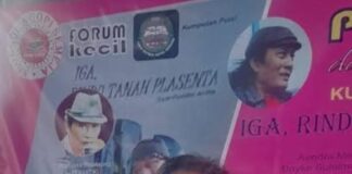 Prof.Dr.Wahyu Wibowo : Karya Puisi Pulo Lasman Simanjuntak Penuh Dengan Teknik Pembentukan Imaji Liar