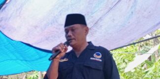 Bermodalkan Rekam Jejak,Caleg NasDem Roy Pangharapan Masuk Daftar Kuda Hitam”