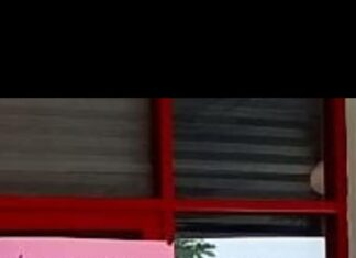 Pantauan AAPPD, Pemilu Di Depok Berjalan Lancar