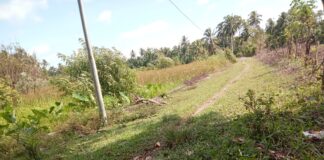 Jalan Hubungan Gampong Blang Masih Sempit.