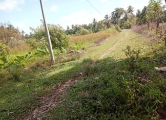 Jalan Hubungan Gampong Blang Masih Sempit.