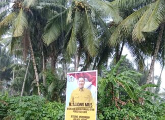 Baliho Aliong Mus Mulai Menjamur di Halsel