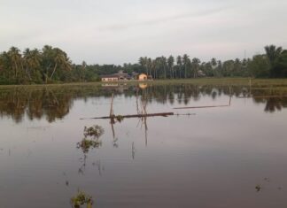 Jalan Dusun Lamkuta Hubungan Gampong Ladang Tenggelam Dilanda Banjir