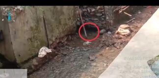 Bahaya !! Penurapan Kali Sugutamu Dikerjakan Dengan Asal Jadi
