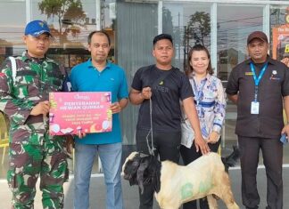 Rayakan Idul Adha 1445 H, Citimall Cimanggis Salurkan Hewan Qurban