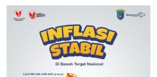 BPS Inflasi OKI Stabil Dibawah Target Nasional