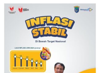 BPS Inflasi OKI Stabil Dibawah Target Nasional
