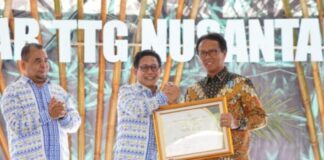 Pj Bupati OKI Raih Penghargaan Bergengsi ‘Lencana Bakti Inovasi Desa’ dari Kemendes