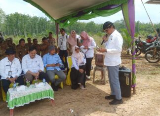 Pj Bupati OKI Tinjau Langsung Perbaikan Jalan Pemanfaatan Limbah Material Jalan Tol