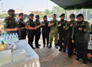 HIPAKAD Depok Turut Serta Dalam Puncak Perayaan HUT TNI ke-79 di Monas