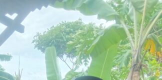 Lahan Rawa Untuk Sekolah Negeri Dibeli Harga Tinggi, GARNUS Akan Demo ke Disrumkim Depok