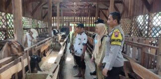 Cegah Penyebaran PMK, Polres Demak Edukasi Peternak