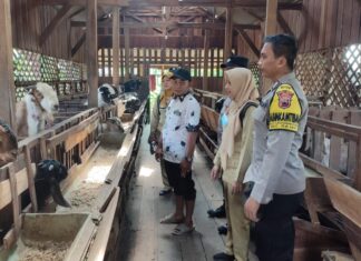 Cegah Penyebaran PMK, Polres Demak Edukasi Peternak