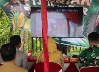 Polres Demak Bersama Instansi Terkait, Gelar Tanam Jagung Satu Juta Hektar