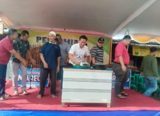 PERESMIAN PASAR RAKYAT KEBONBATUR MRANGGEN DEMAK