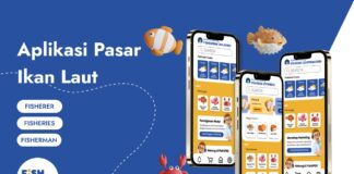 Mahasiswa UPER Rancang Prototipe Bisnis Hasil Tangkap Laut Untuk Dukung Keberlanjutan Perikanaan