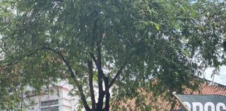 PNIB : Waspadai Gerakan HTI Khilafah Terorisme Domplengi Gerakan Mahasiswa Dan Rakyat Di Berbagai Daerah