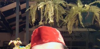 Sat Pol PP Kota Depok Membiarkan Peredaran Miras Ilegal