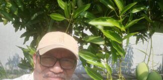 Megawati dan Prabowo Ajari jokowi Biar Jujur