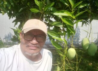 Megawati dan Prabowo Ajari jokowi Biar Jujur