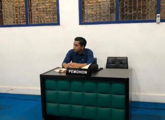 Kritik Muhammad Amarullah: APDESI Madina Belum Pahami UU Keterbukaan Informasi Publik