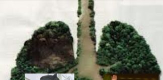 DPP LSM MAUNG Desak Presiden Prabowo Terbitkan Keppres Audit Terpadu Hutan Kalbar