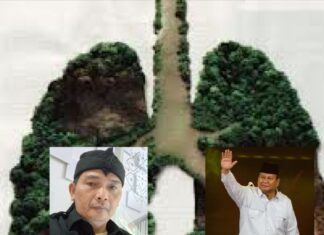 DPP LSM MAUNG Desak Presiden Prabowo Terbitkan Keppres Audit Terpadu Hutan Kalbar