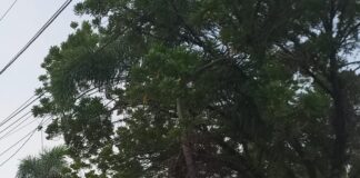 Penyimpangan Bio Solar Bersubsidi di SPBU Ganting Kian Terbuka