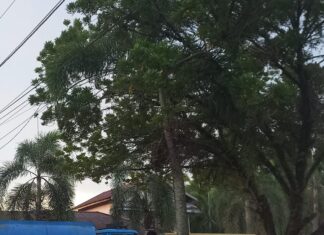 Penyimpangan Bio Solar Bersubsidi di SPBU Ganting Kian Terbuka