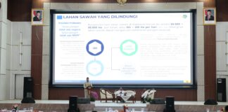 Menteri ATR/BPN Larang Kepala Daerah Alih Fungsi Sawah LP2B