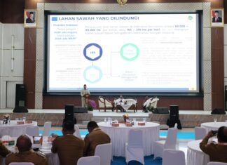 Menteri ATR/BPN Larang Kepala Daerah Alih Fungsi Sawah LP2B