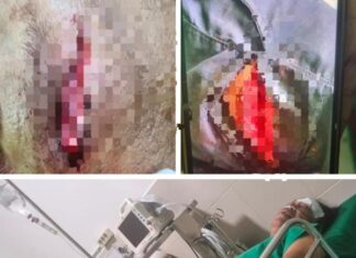 Lagi, Jurnalis di Aceh Alami Kekerasan, Demokrasi dan Kebebasan Pers Terancam