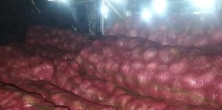 Delapan Ton Bawang Merah RAIB ,Diduga Dibajak, Warga Kabupaten Semarang Lapor ke Polda Jateng