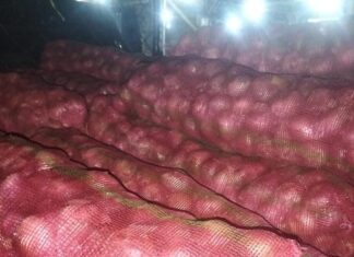 Delapan Ton Bawang Merah RAIB ,Diduga Dibajak, Warga Kabupaten Semarang Lapor ke Polda Jateng