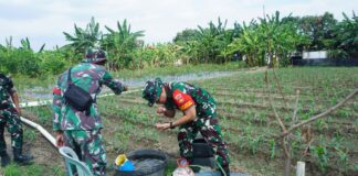 Ketahanan Pangan Jadi Prioritas, Dansatgas TMMD Reguler Ke-125 Kodim 0735/Surakarta Cek Progres Penanaman Jagung