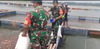 Babinsa Gali Potensi UMKM, Kunjungi Karamba Ikan Air Tawar untuk Pendataan dan Pembinaan