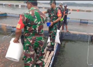 Babinsa Gali Potensi UMKM, Kunjungi Karamba Ikan Air Tawar untuk Pendataan dan Pembinaan