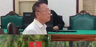 Vonis 10 Tahun dan UP 797 M, Akuang Tak Ditahan Hakim, Koperasi STM Diduga Masih Panen Sawit di Hutan Negara, Kastel Langkat : Dititip ke BKSDA