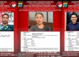 Polisi Buru Jaringan Narkoba di Sumut: Ardinal, Herina dan Gempar Selamat