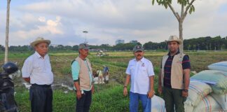 Tani Merdeka Indonesia Deli Serdang Ubah Lahan Kosong Jadi Lumbung Pangan Produktif