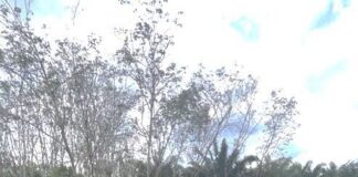 Dinas PUPR OKI Diduga Lakukan Pekerjaan Pada Lokasi Yang Tidak Tepat Sasaran