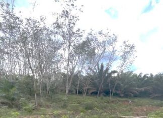 Dinas PUPR OKI Diduga Lakukan Pekerjaan Pada Lokasi Yang Tidak Tepat Sasaran