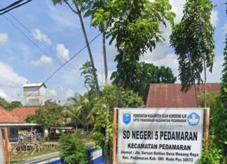 Polemik Penunjukan Kepala SDN 5 Pedamaran: Dugaan Pelanggaran Permendikdasmen