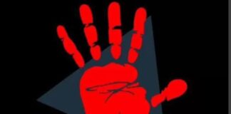 Wartawati Media Indonesia Maju Dapat Ancaman Usai Beritakan Dugaan Gudang Mafia CPO di Sumatera Utara