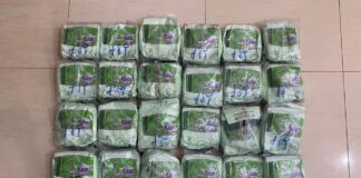 Polda Riau Gagalkan Penyelundupan 30 Kg Sabu di Pelabuhan Dumai